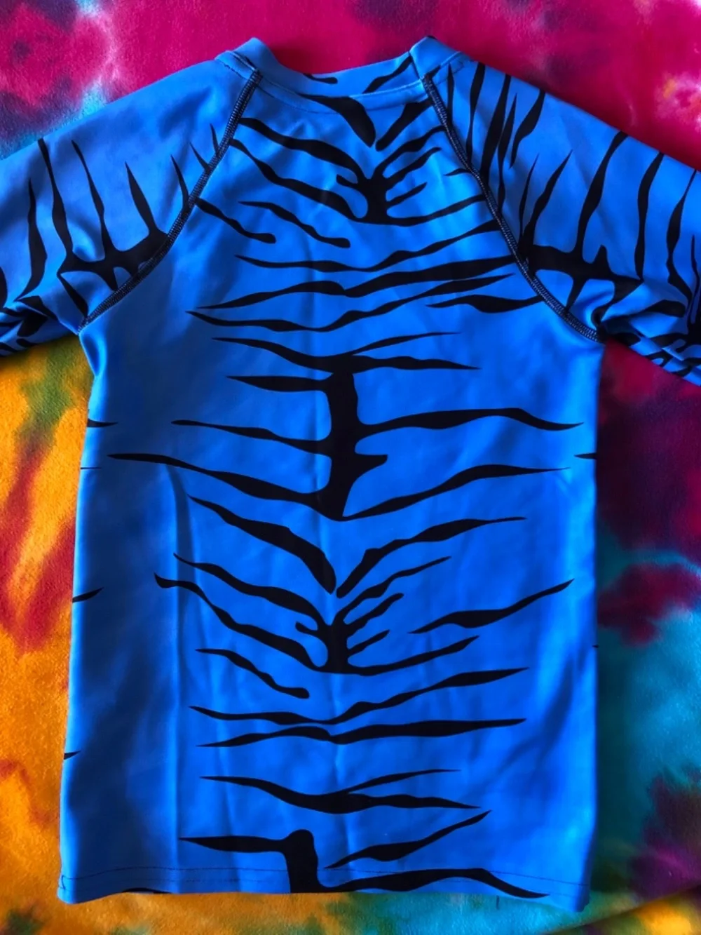Derpy Kids Blue Tiger Halloween Costume, Small Top, 6X Bottoms